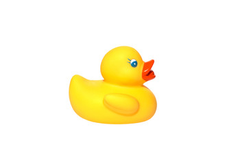 Yellow duck swimming isolated on white background