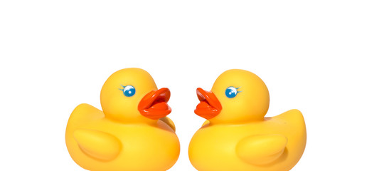Two yellow toy ducks with orange beaks seen from above while swimming, white background.  