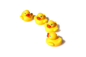 Four yellow toy ducks with orange beaks seen from above while swimming, white background.  