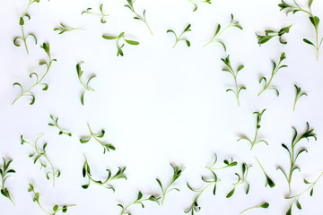 frame for wishes/ Flat lay of the set of green leaves of lavender spread out on a light surface top view