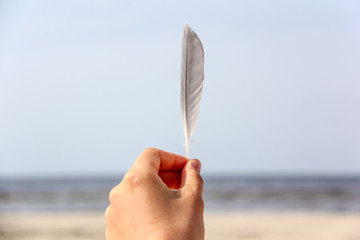 feather in hand sea view