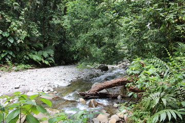 kleiner Fluss auf Guadeloupe