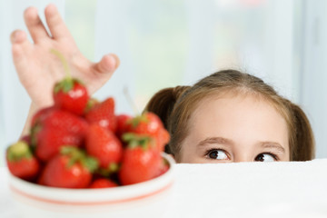Young cute smiling european little girl is trying to steal ripe jucy strawberry from plate of many berries while she sitting under white table