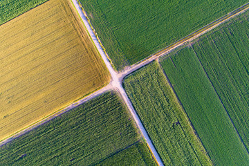 Top view of agricultural parcels