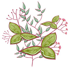 leafs plant decorative icon vector illustration design