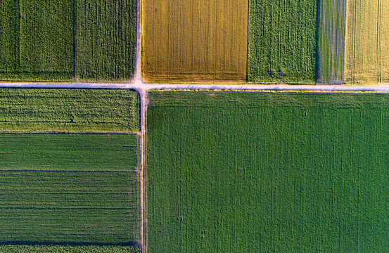 Top view of agricultural parcels