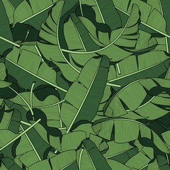 Palm leaves, dense jungle. Tropical background Seamless vector pattern.
