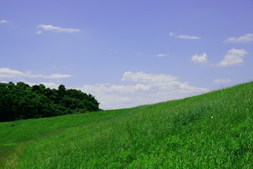 大地と碧空