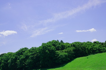 大地と碧空