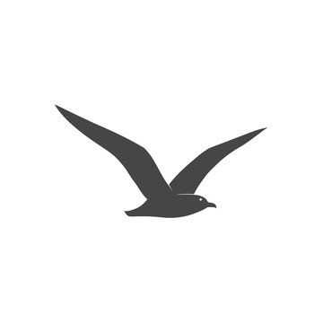 Seagull icon - vector illustration