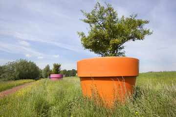 Obraz premium Huge flowerpots in the Netherlands