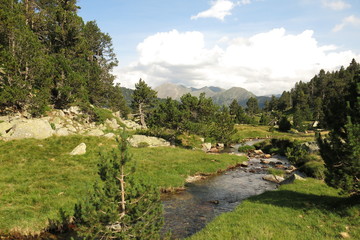 Fototapeta premium The National park Aiguestortes and Sant Maurici in Catalonia, Spain
