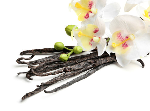 Dried vanilla sticks and flowers on white background, closeup
