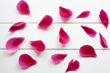 Petals on white wooden background top view
