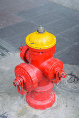Brightly Colored Fire Hydrant
