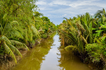 Small canal in Mekong Delta.