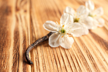 Dried vanilla stick and flowers on wooden background, closeup