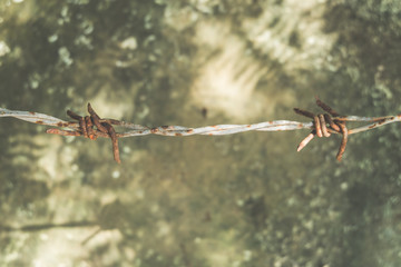 barbed wire