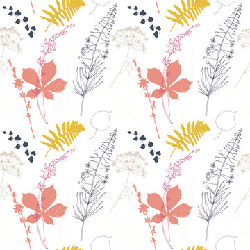 Vector floral seamless pattern  with  fireweed, chicory, dill flowers and fern, ivy and chestnut tree leaves.