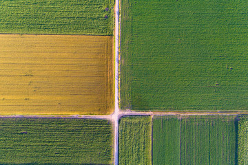 Top view of agricultural parcels