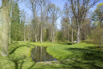 The stream in spring park