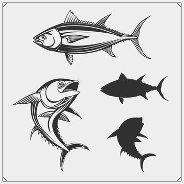 Vector illustrations of Tuna. Monochrome design.