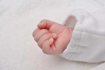 赤ちゃんの小さな手