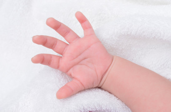 赤ちゃんの小さな手