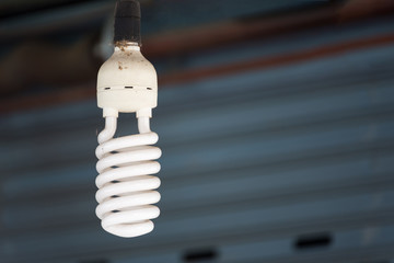 Energy saving fluorescent light bulb for home decoration.