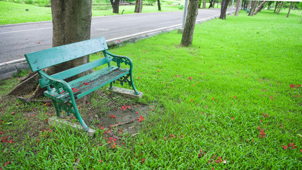 old green bench under the tree in park