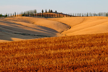 Obraz premium Campagna senese