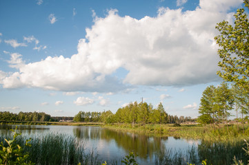 Forest lake, blue sky with Cumulus clouds,