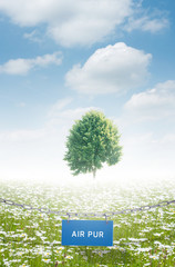 air pur respirer pollution oxygène respecter arbre champ nature besoin vital préserver beauté...