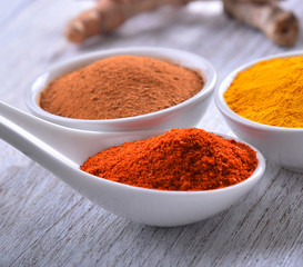 Paprika powder in spoon on table