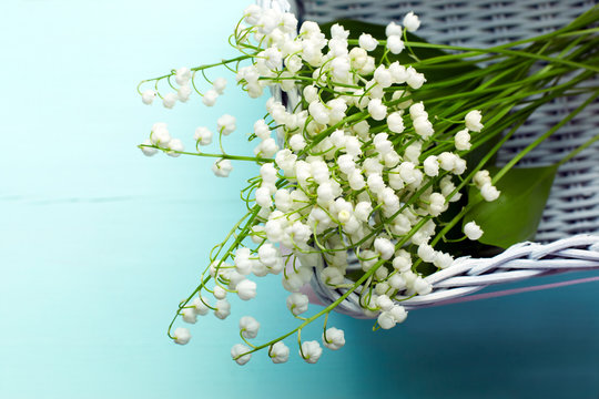 A bouquet of fresh white lilies of the valley in a wicker basket. Top view