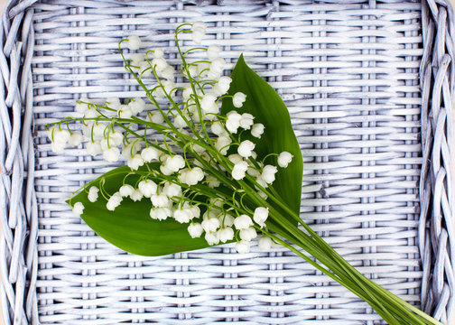 Fresh white lilies of the valley lie on a wicker tray.