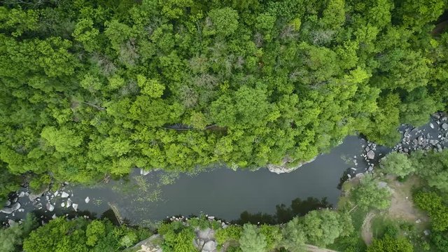 Aerial footage. Fly over river in forest. Top view