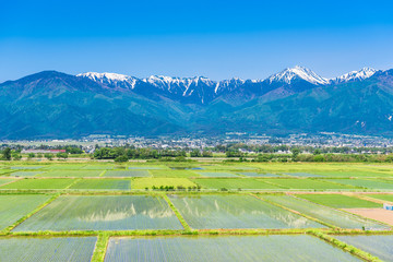 安曇野の田園風景と北アルプス