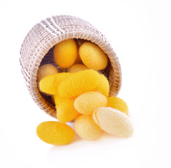 Cocoon face nature on white background