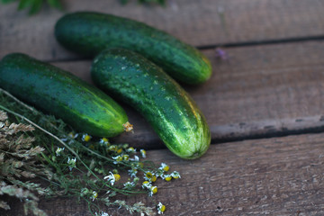 Fresh cucumber from the garden on a wooden background.
