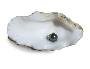 black pearl lies in a shell