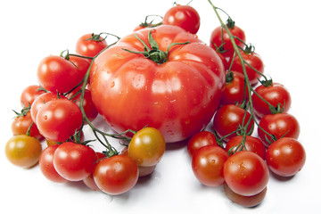 tomato large and a branch of tomatoes small in water drops