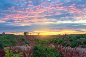 Fototapeta premium Red iron ore cliff with trees