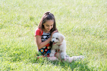 Loving young girl stroking her pet poodle
