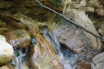 Torrent ruisseau