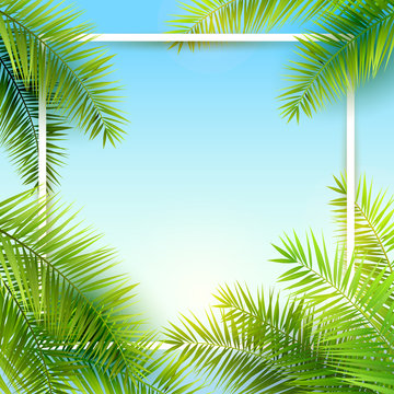 Summer time background