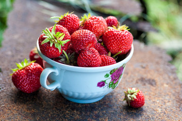 Strawberry