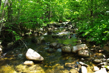 Torrent ruisseau