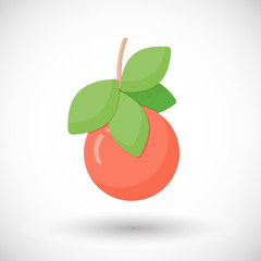 Grapefruit vector flat icon