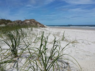 Sand dunes on the beach in Atlantic coast of North Florida 